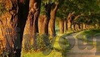 14场足球胜负彩比分直播-14场足球胜负彩比分直播，球迷的饕餮盛宴与智慧博弈场