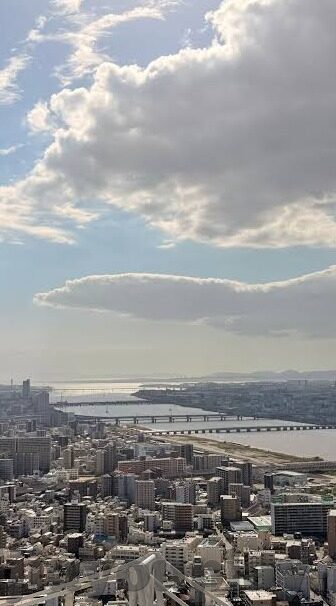 15号足球比分-15号足球赛场风云，比分背后的战术博弈与英雄时刻
