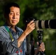 足球500比分360-探秘足球比分背后的数字密码，从500比分360看足球数据新生态