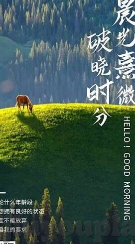 足球比分怎样可以快速-足球比分速查全攻略，从实时追踪到深度分析的5大高效方法